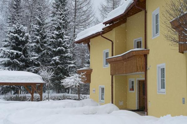 Haus Elisengrund Am Geigenbuehel - Chalet Prive Зеефелд в Тирол Екстериор снимка
