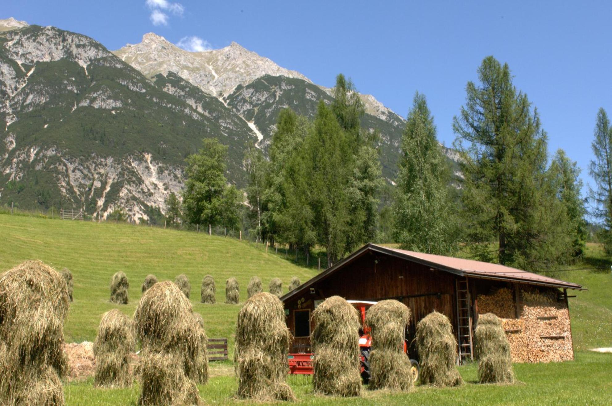 Haus Elisengrund Am Geigenbuehel - Chalet Prive Зеефелд в Тирол Екстериор снимка