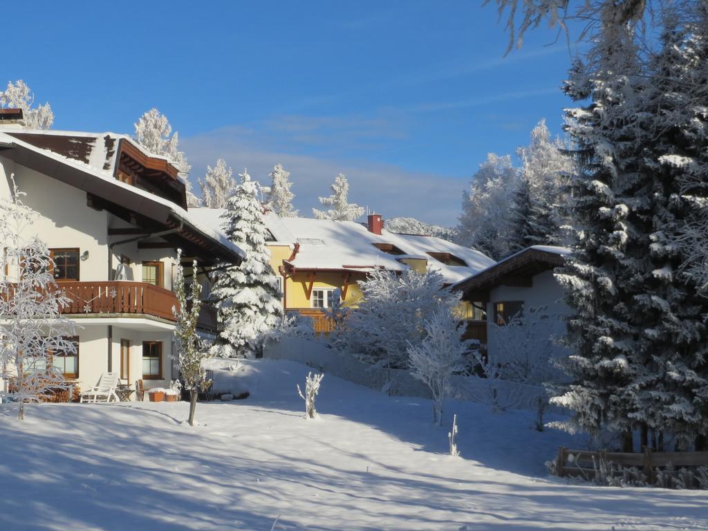 Haus Elisengrund Am Geigenbuehel - Chalet Prive Зеефелд в Тирол Екстериор снимка